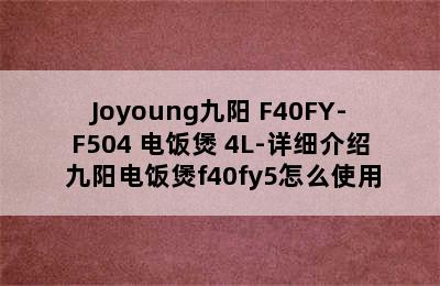 Joyoung九阳 F40FY-F504 电饭煲 4L-详细介绍 九阳电饭煲f40fy5怎么使用